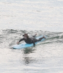LMBR024.jpg