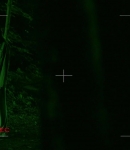 LMBR000101.jpg