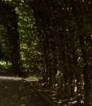 LMBR00730.jpg