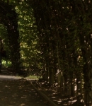 LMBR00733.jpg