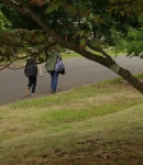 LMBR02149.jpg