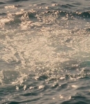 LMBR0000730.jpg