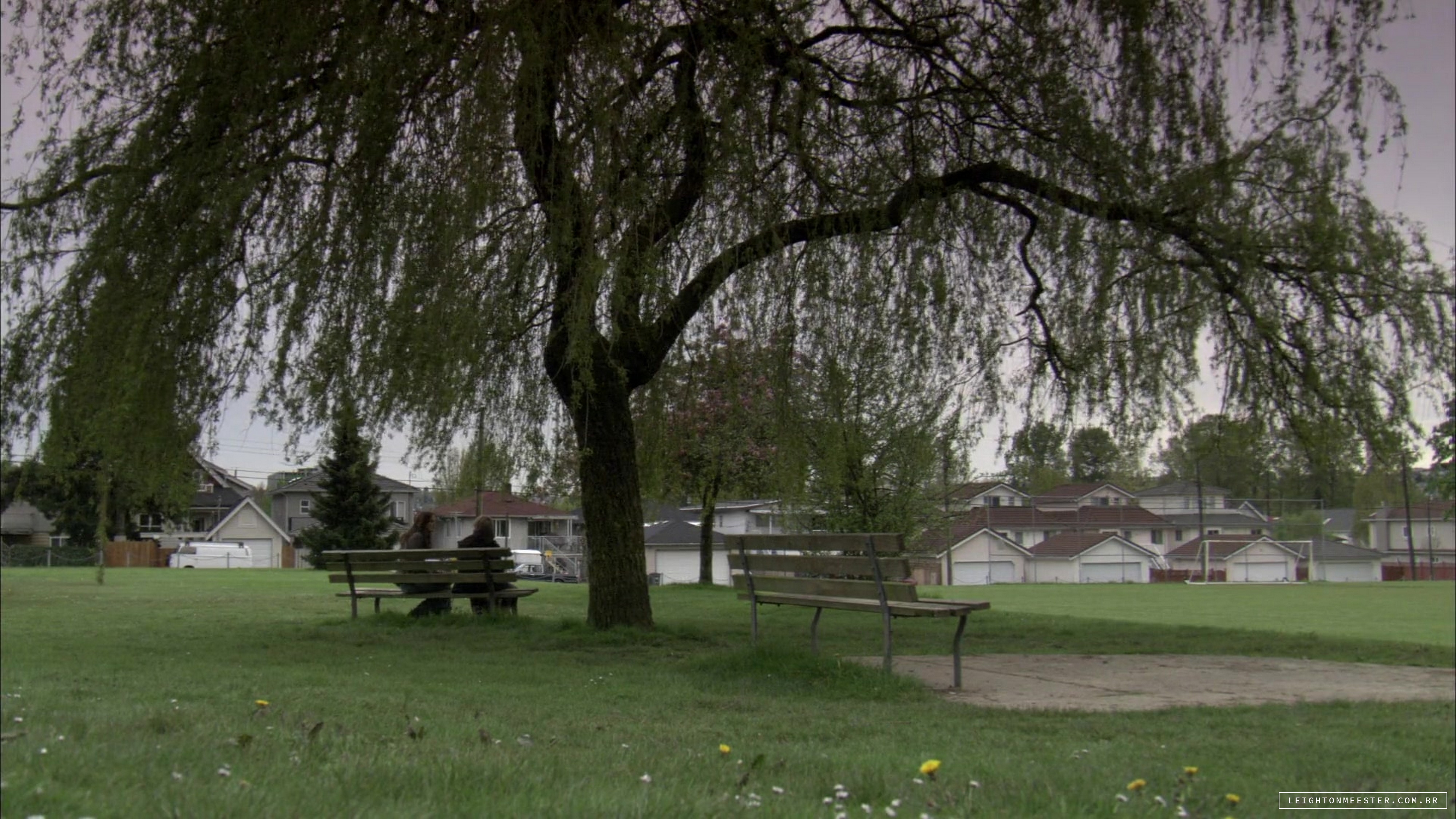 LMBR0554.jpg