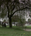 LMBR0552.jpg