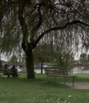 LMBR0553.jpg