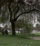 LMBR0554.jpg