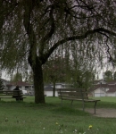 LMBR0612.jpg