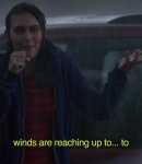LMBR500.jpg