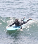 LMBR007.jpg