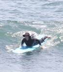 LMBR014.jpg