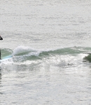 LMBR047.jpg