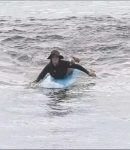 LMBR019.jpg