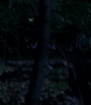 LMBR000122.jpg