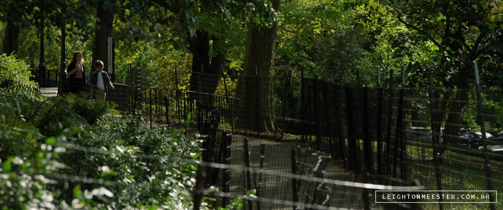 LMBR01319.jpg