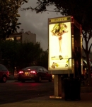 LMBR00189.jpg