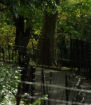LMBR01320.jpg