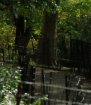 LMBR01321.jpg