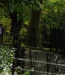 LMBR01322.jpg