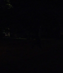LMBR01710.jpg