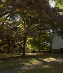 LMBR02702.jpg