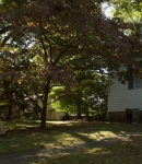 LMBR02703.jpg