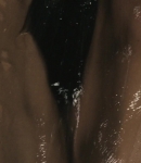 LMBR0000001089.jpg